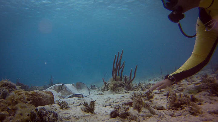 stthomas3.jpg